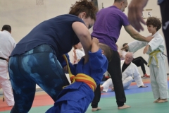 ANO4925