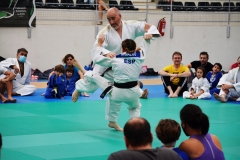 ANO4953