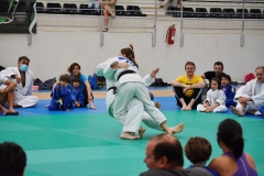 ANO4955