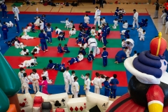 00086-FEDERACION-EXTREMENA-DE-JUDO-JPEG-20-FERBRE-2022