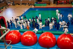 00118-FEDERACION-EXTREMENA-DE-JUDO-JPEG-20-FERBRE-2022