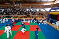 00128-FEDERACION-EXTREMENA-DE-JUDO-JPEG-20-FERBRE-2022
