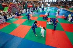 00130-FEDERACION-EXTREMENA-DE-JUDO-JPEG-20-FERBRE-2022