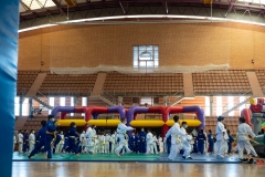 00274-FEDERACION-EXTREMENA-DE-JUDO-JPEG-20-FERBRE-2022