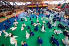 00293-FEDERACION-EXTREMENA-DE-JUDO-JPEG-20-FERBRE-2022