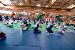 00313-FEDERACION-EXTREMENA-DE-JUDO-JPEG-20-FERBRE-2022