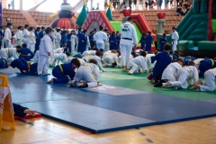00317-FEDERACION-EXTREMENA-DE-JUDO-JPEG-20-FERBRE-2022