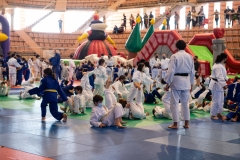 00349-FEDERACION-EXTREMENA-DE-JUDO-JPEG-20-FERBRE-2022
