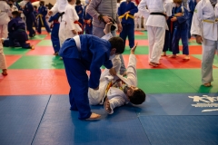 00384-FEDERACION-EXTREMENA-DE-JUDO-JPEG-20-FERBRE-2022