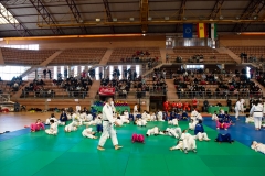 00441-FEDERACION-EXTREMENA-DE-JUDO-JPEG-20-FERBRE-2022