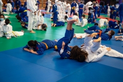 00447-FEDERACION-EXTREMENA-DE-JUDO-JPEG-20-FERBRE-2022