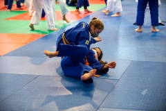 00517-FEDERACION-EXTREMENA-DE-JUDO-JPEG-20-FERBRE-2022