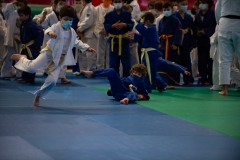 00548-FEDERACION-EXTREMENA-DE-JUDO-JPEG-20-FERBRE-2022