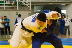 24219-JUNIO-22-FEDEX